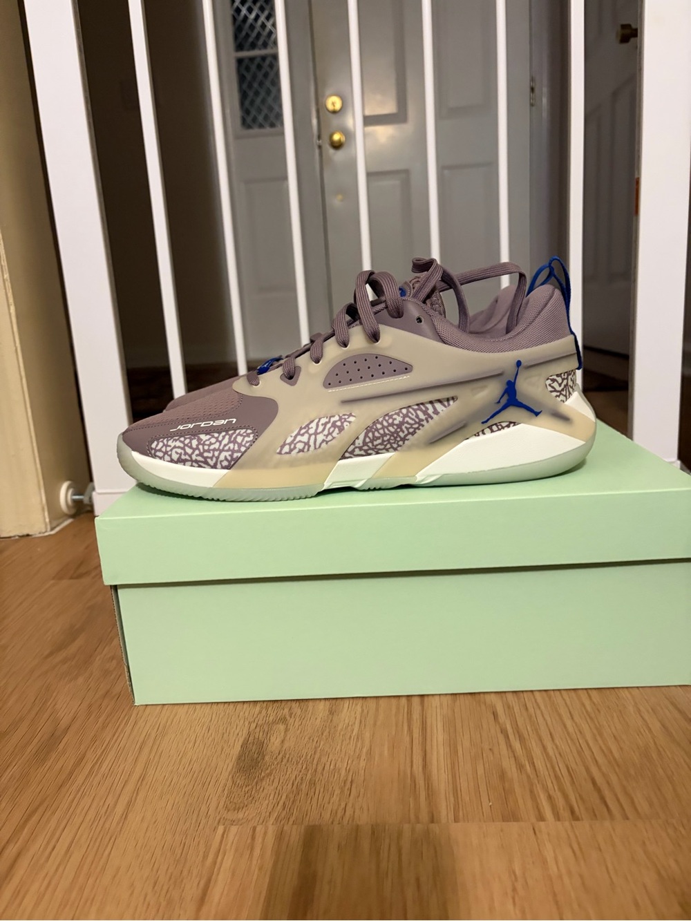 Jordan Sneakers in Mauve with Blue Accents - mens 11/womens 12.5